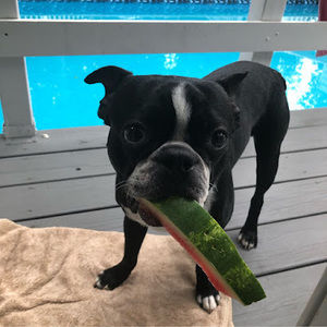 Meet your Posher, Nicholas